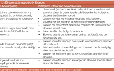 Skicklig undervisning i klartext – dimension 1 av 10